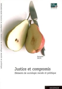 Justice et compromis - éléments de sociologie morale et politique
