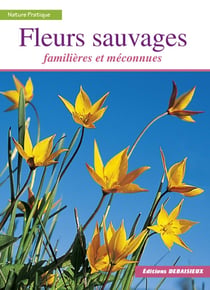 FLEURS SAUVAGES / FAMILIERES ET MECONNUES
