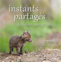 Instants partagés de nature sauvage