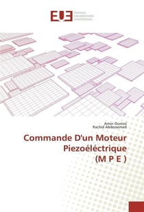 Commande d'un moteur piezoelectrique (m p e )