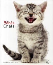 bébés Chats