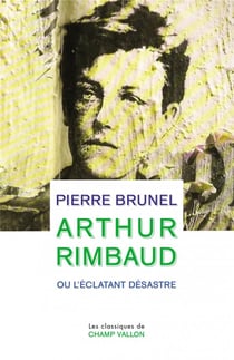 Arthur rimbaud ou l'éclatant désastre
