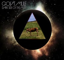 Dark side of the mule