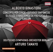 Concerto per corde