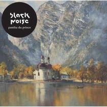 Black noise