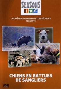 Chiens en battues de sangliers