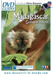 Madagascar - Grandeur nature