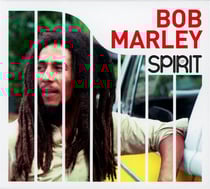 Spirit of Bob Marley