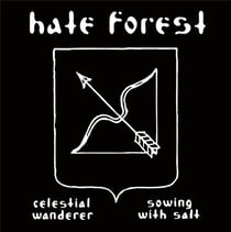 Celestial Wanderer - Sowing With Salt