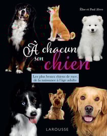 À chacun son chien : les plus beaux chiens de race, de la naissance à l'âge adulte