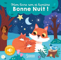 Mon livre son et lumière, Bonne nuit !
