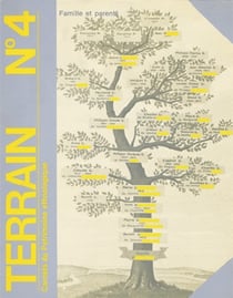 Terrain n.4 : famille et parenté