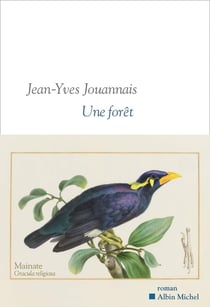 Une forêt