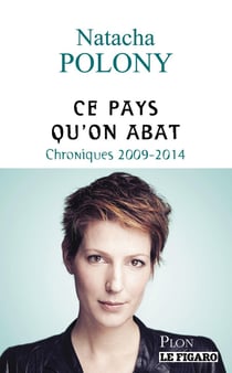 Ce pays qu'on abat - chroniques 2009 - 2014