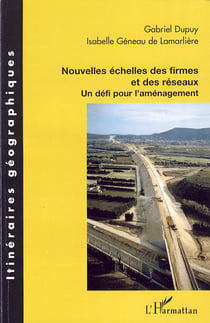 Nouvelles échelles des firmes et des réseaux - un défi pour l'aménagement