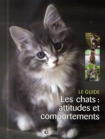 Les chats : attitudes et comportements