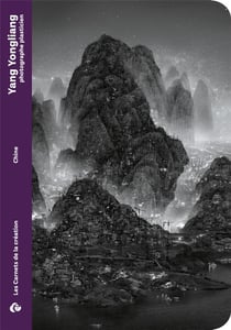 Yang yongliang, photographe plasticien