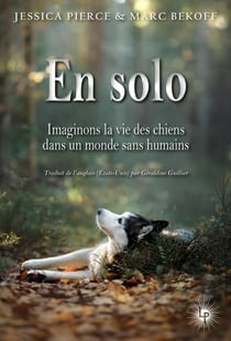 En solo ! imaginer la vie des chiens dans un monde sans humains