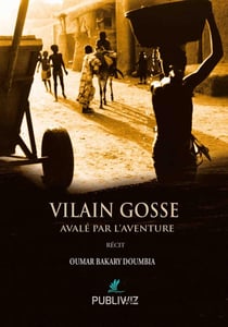 Vilain gosse : Avalé par l'aventure