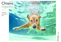Agenda semainier 2024 - Chiens rigolos