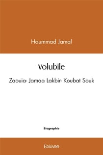 Volubile - zaouia- jamaa lakbir- koubat souk