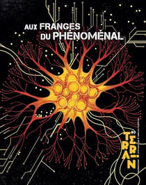 Terrain n.80 : Aux franges du phénoménal