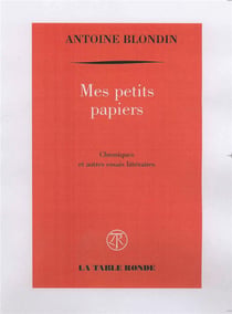 Mes petits papiers - chroniques et autres essais littéraires
