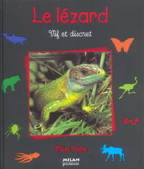 Le lezard, farouche arlequin