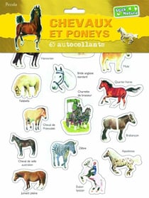 Les chevaux et les poneys - 65 autocollants