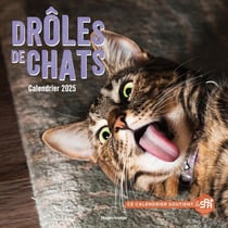 Calendrier mural : Drôles de chats (édition 2025)