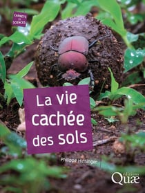 La vie cachée des sols