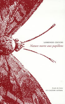 Nature Morte Aux Papillons