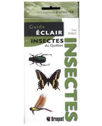 Guide éclair : insectes du Québec