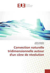 Convection naturelle tridimensionnelle autour d'un cone de revolution