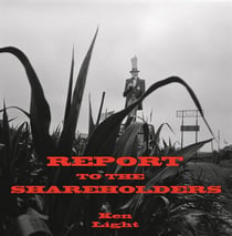Report to the shareholders