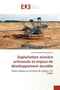 Exploitation minière artisanale et enjeux de développement durable : Étude réalisée en territoire de Lubero, R D Congo
