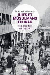 Juifs et musulmans en irak : des origines à nos jours