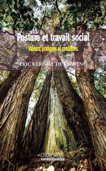 Posture et travail social - valeurs, pratiques et conditions