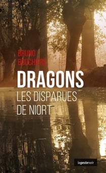 Dragons, les disparues de Niort