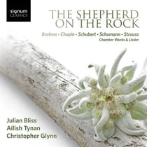 The shepherd on the rock