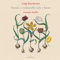 Flute Concertos