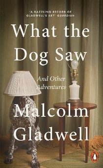 What the dog saw                                                                                                                                                                                                                                          