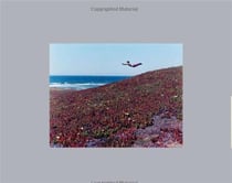 Flying pictures