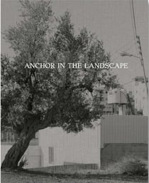 Anchor in the landscape