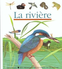 La rivière