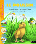 Le poussin