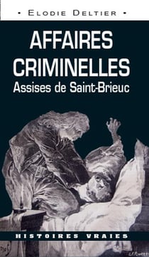 Affaires criminelles - assises de Saint-Brieuc