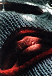 Barbara dans les bois