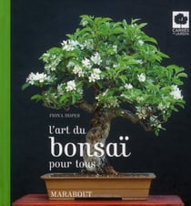 L'art du bonsaï pour tous