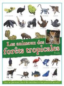 Les animaux de la forêt tropicale
